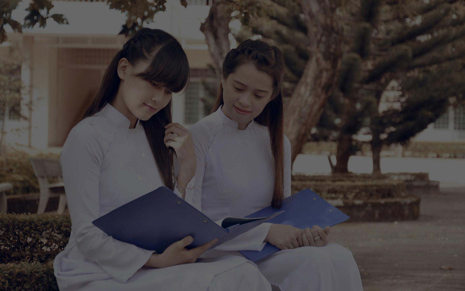 服务器攻击软件